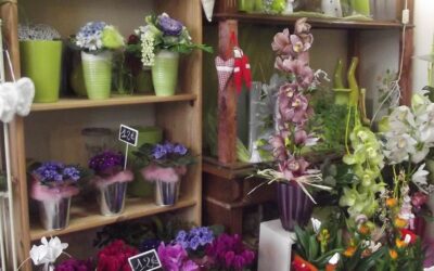 Laurence Fleurs